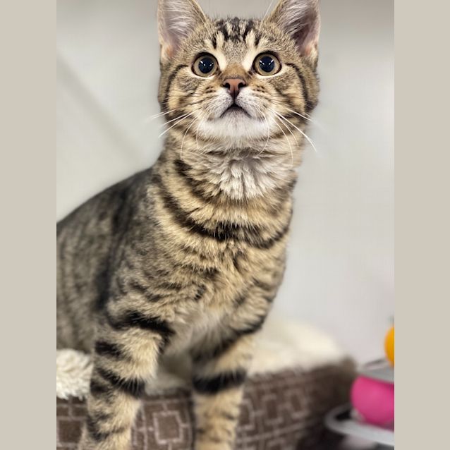 Photo of Charlie