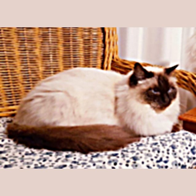 Photo of Milly