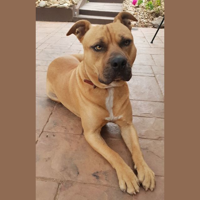 Photo of Hunter