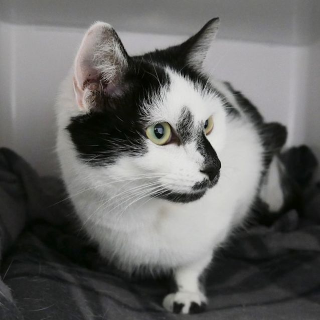 Photo of Shay Sua008800