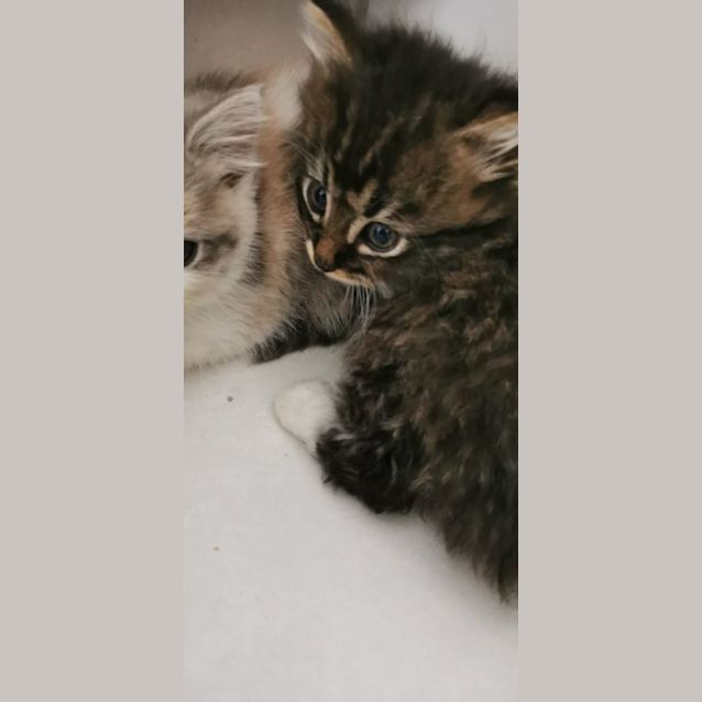 Photo of Wally