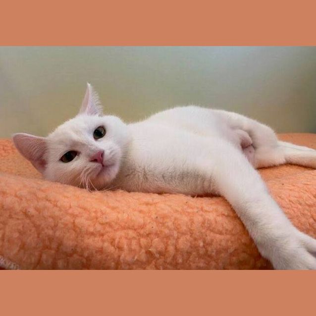Photo of Holly