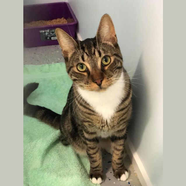 Photo of Loki