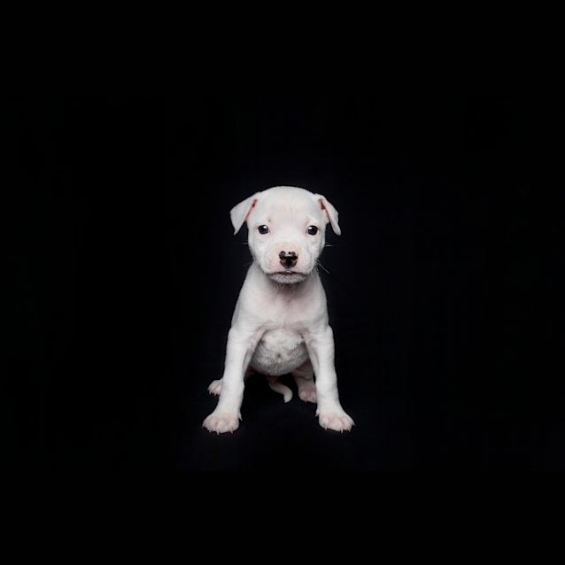 Photo of Chuckles