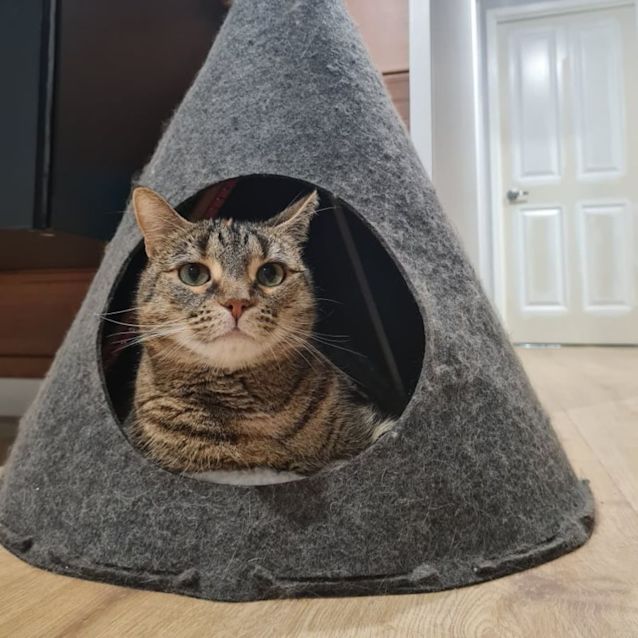 Photo of Patty 