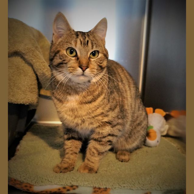 Photo of Wendy