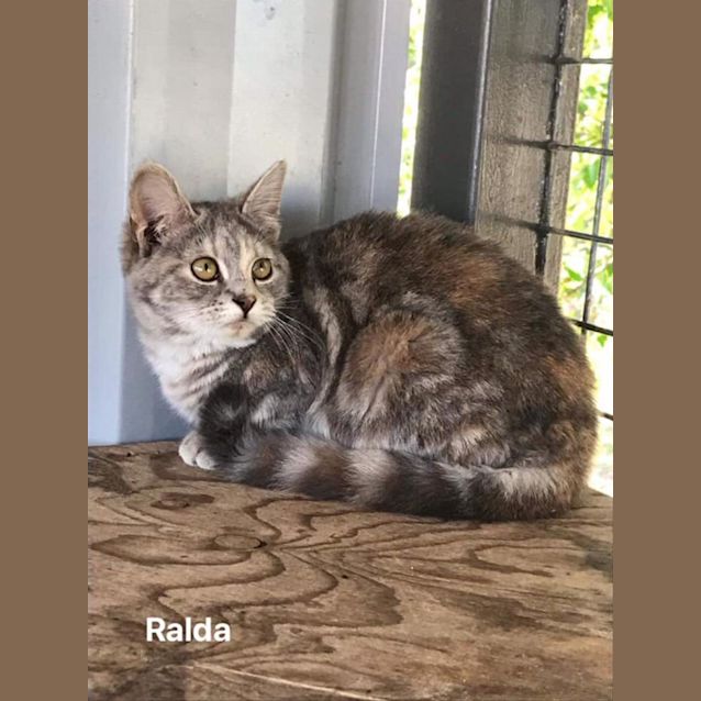 Photo of Ralda
