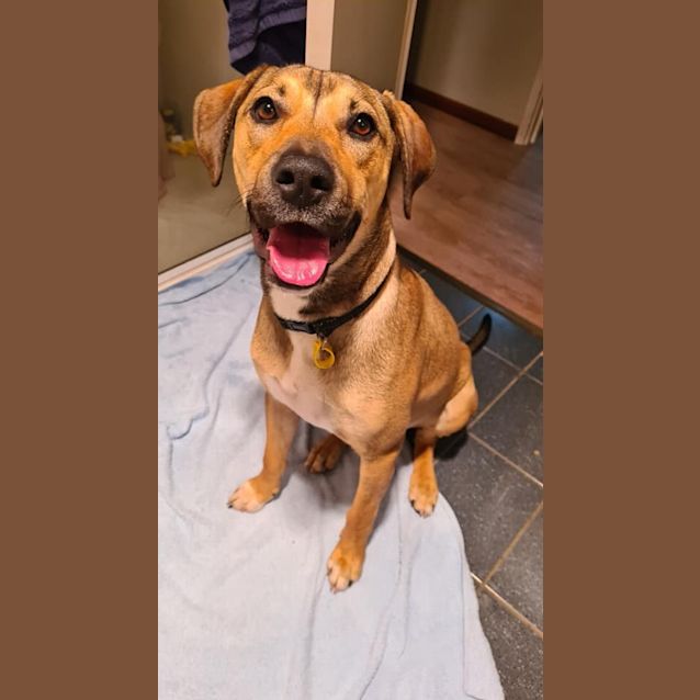 Photo of Dexter