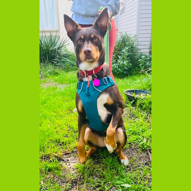 Photo of Matilda