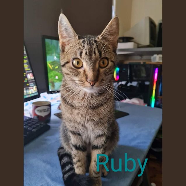 Photo of Ruby