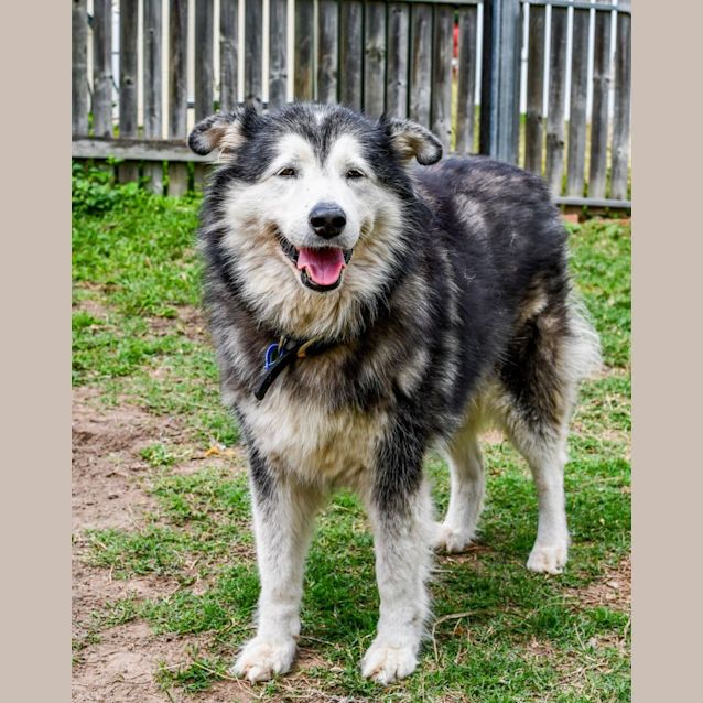 Photo of Ella