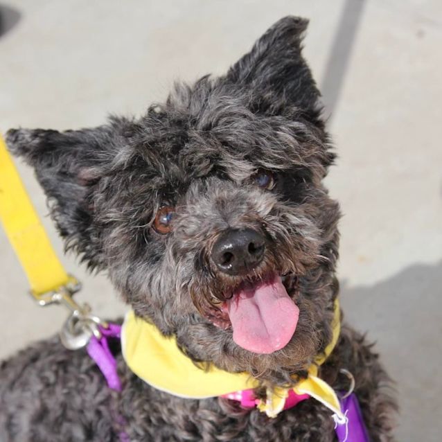 Photo of Dita Dl2672