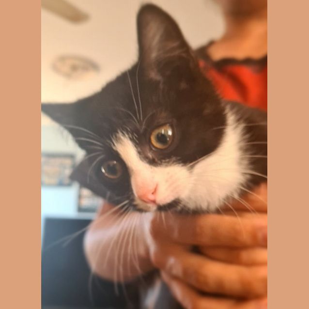 Photo of Bunny