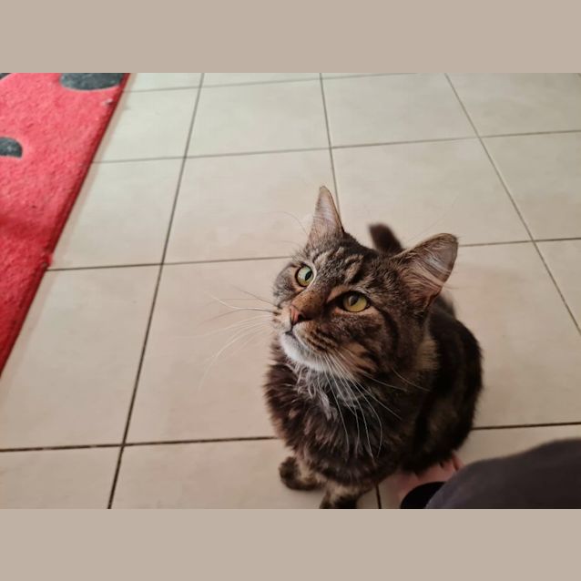 Photo of Charlie Brown