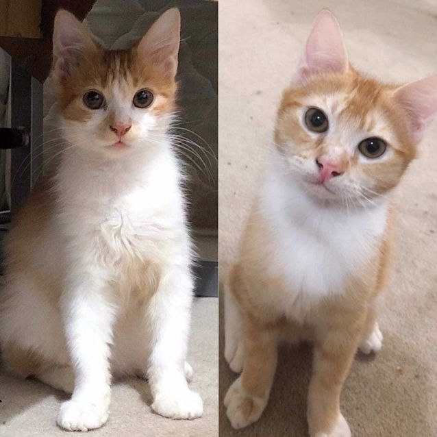 Photo of Buddy & Teddy