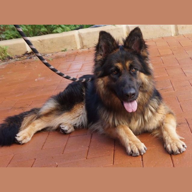 Photo of Astra