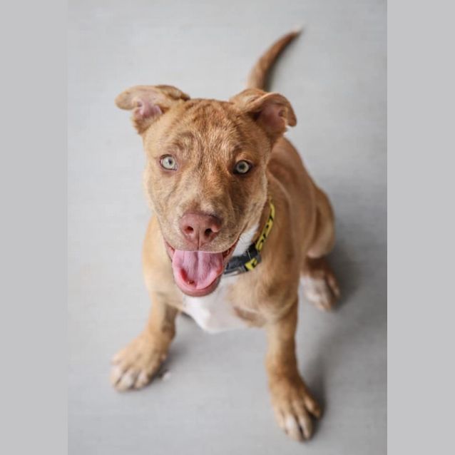 Photo of Zeke