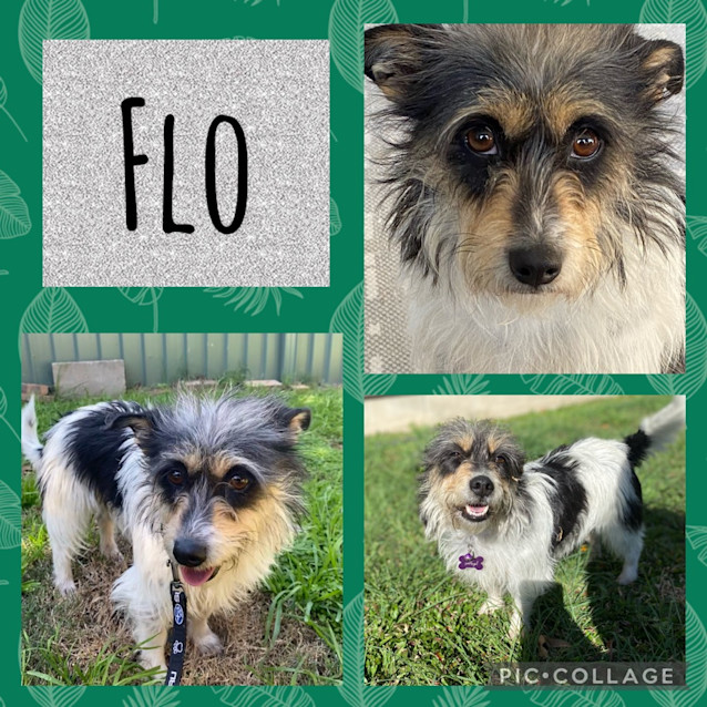 Photo of Flo