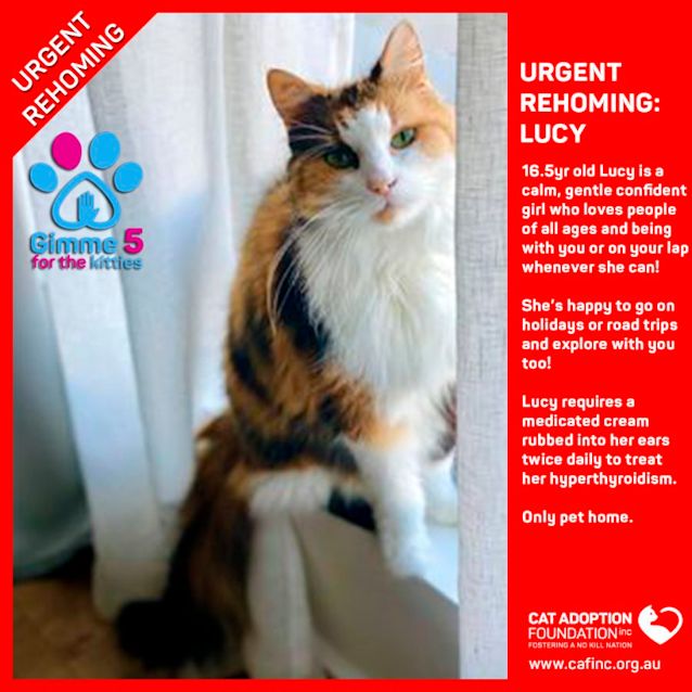 Photo of Lucy