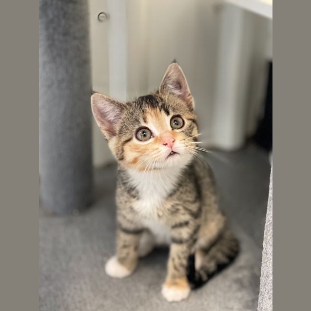Photo of Mia