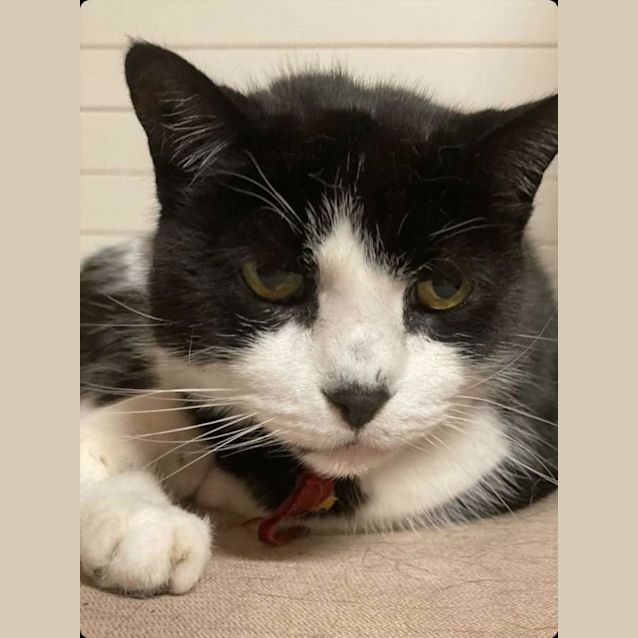 Photo of Charlie