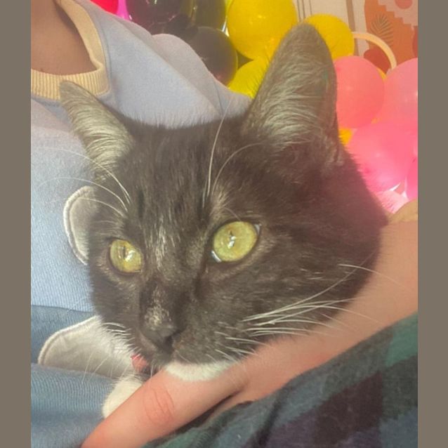 Photo of Rascal