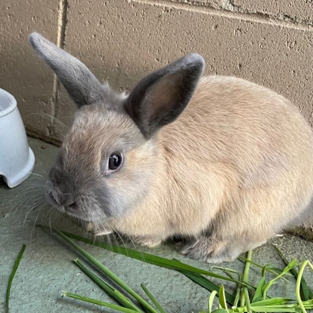Photo of Betty