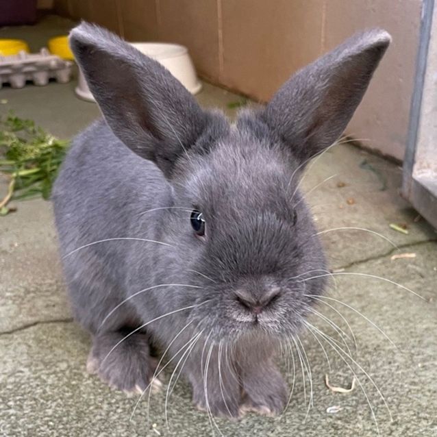 Photo of Theo