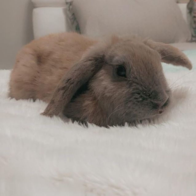 Photo of Belmont Cash