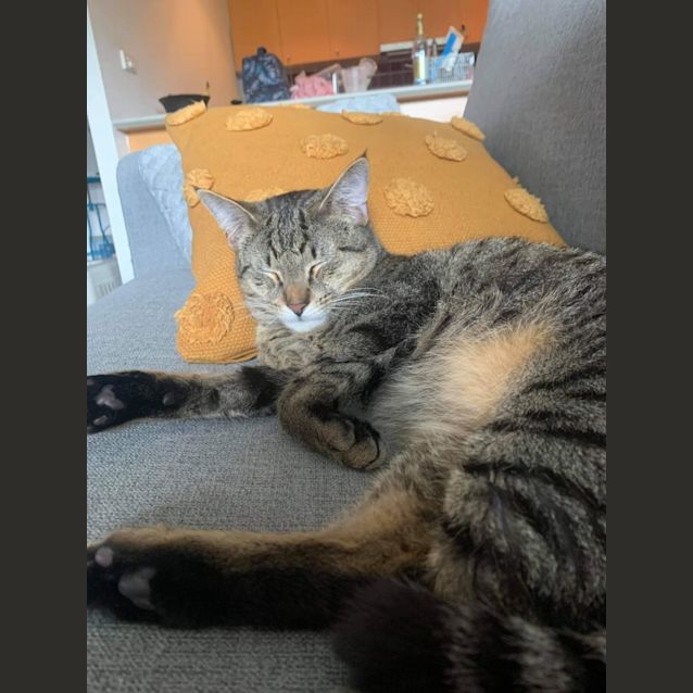 Photo of Chilli And Pepper