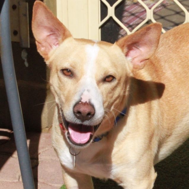 Photo of Sammy