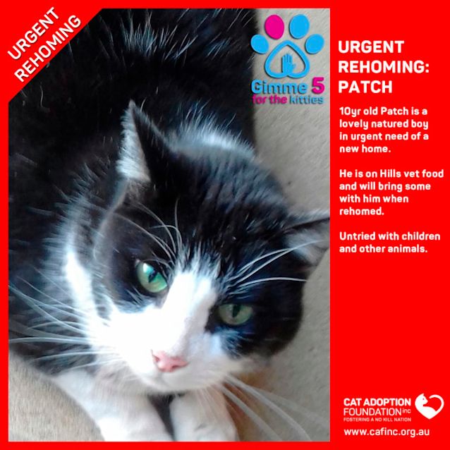 Photo of Patch