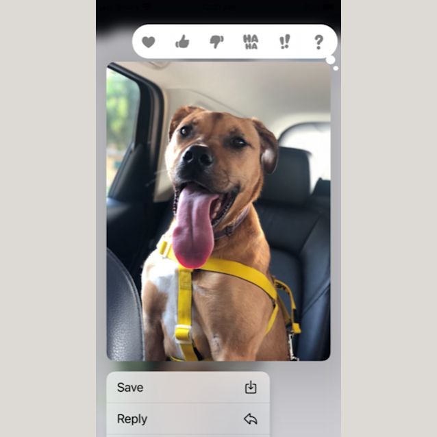 Photo of Scotch
