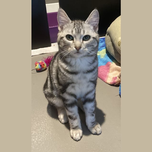 Photo of Ash