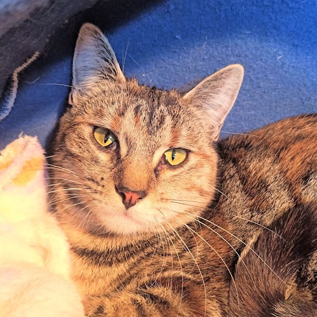 Photo of Lucy 