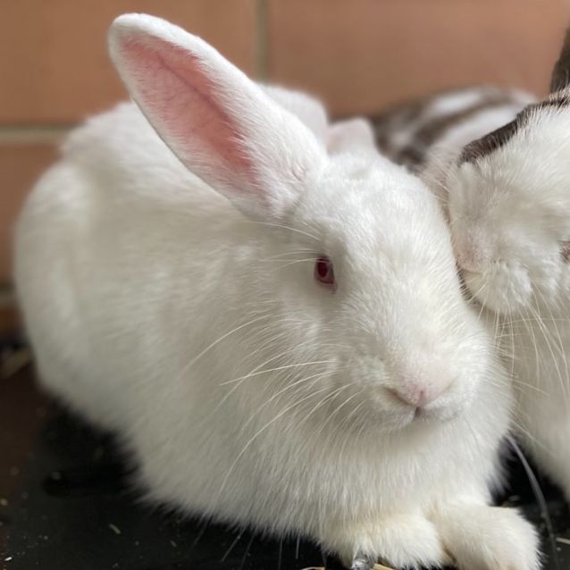 Photo of Alaska And Zale