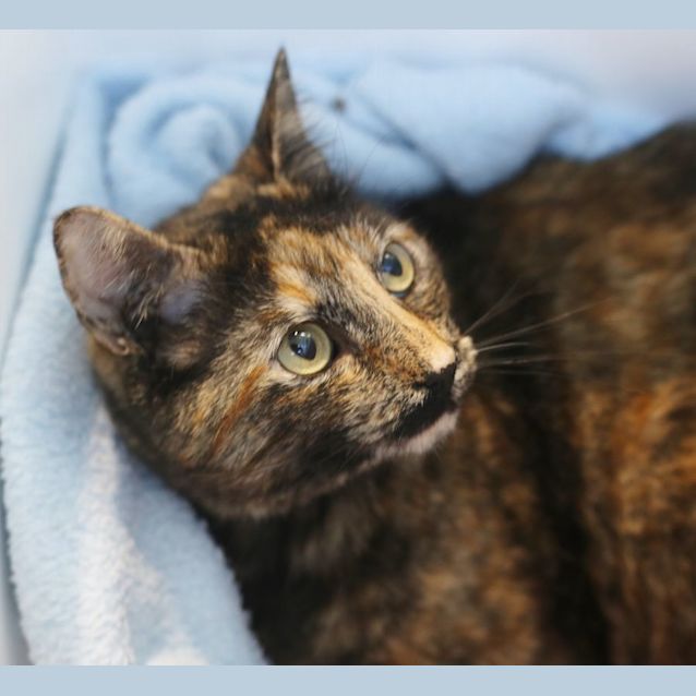 Photo of Esmae 