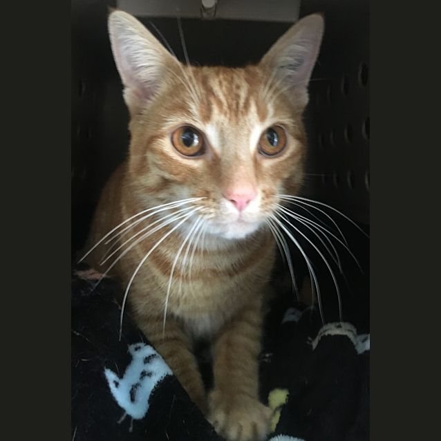 Photo of Holden