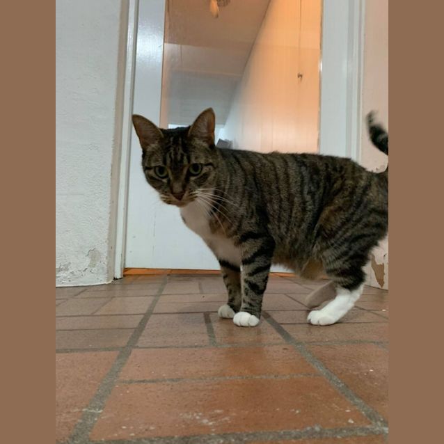 Photo of Evie And Bella