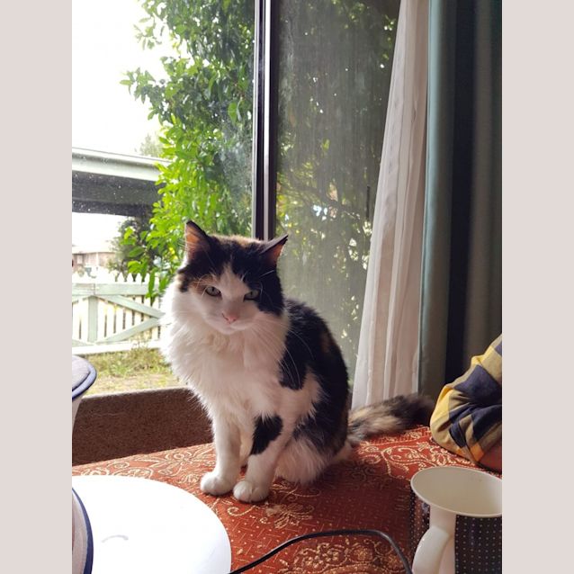 Photo of Macey