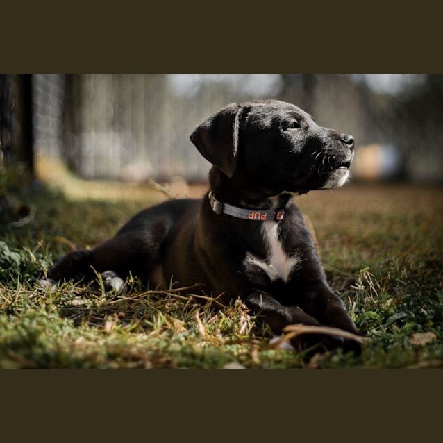Photo of Quinlan