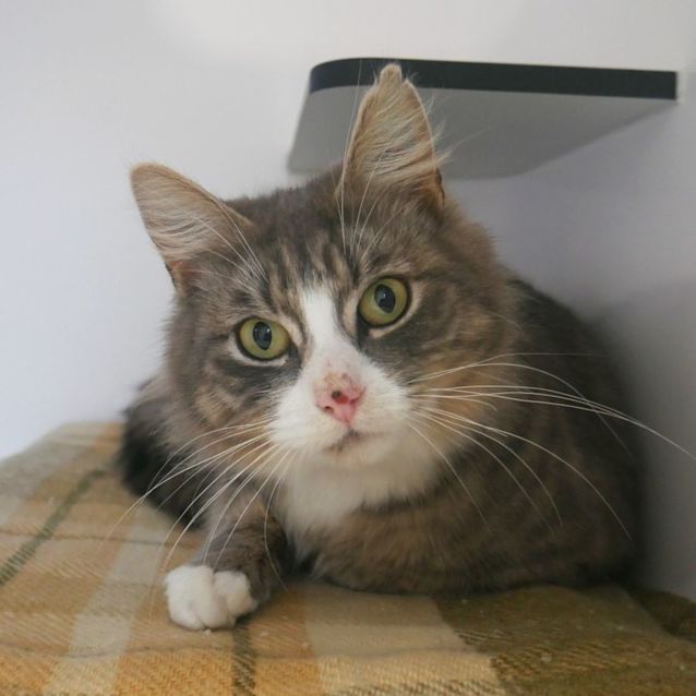 Photo of Chloe Sua008816