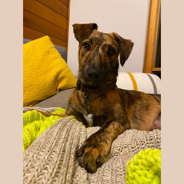 Photo of Moona