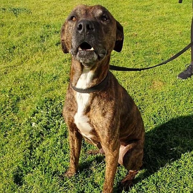 Photo of Zeus Dl2718