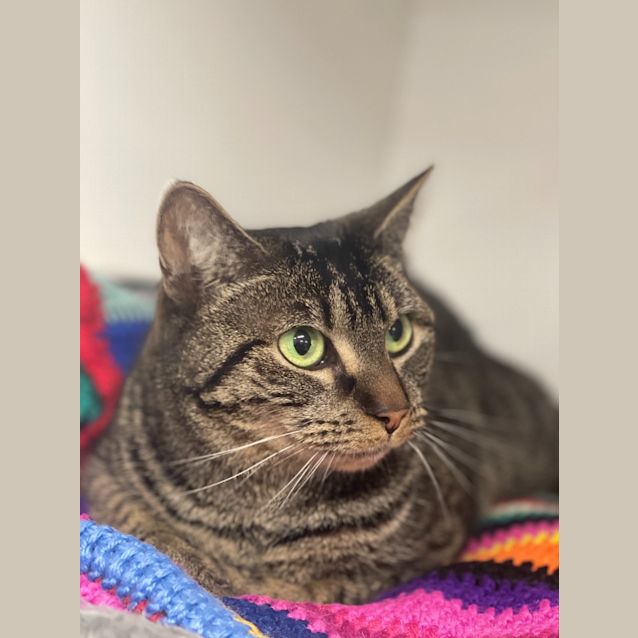 Photo of Ruby