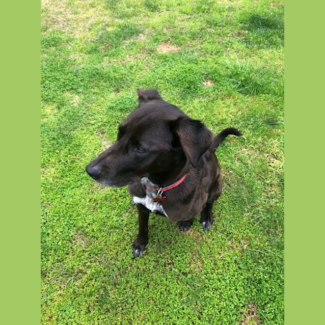 Photo of Ellory