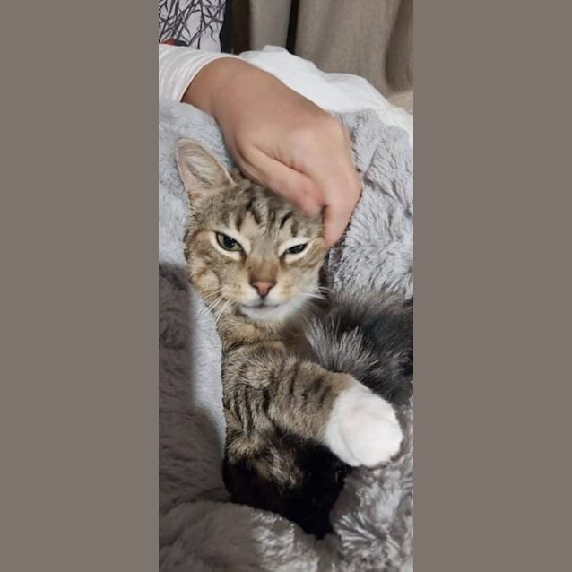 Photo of Alfie And Albie