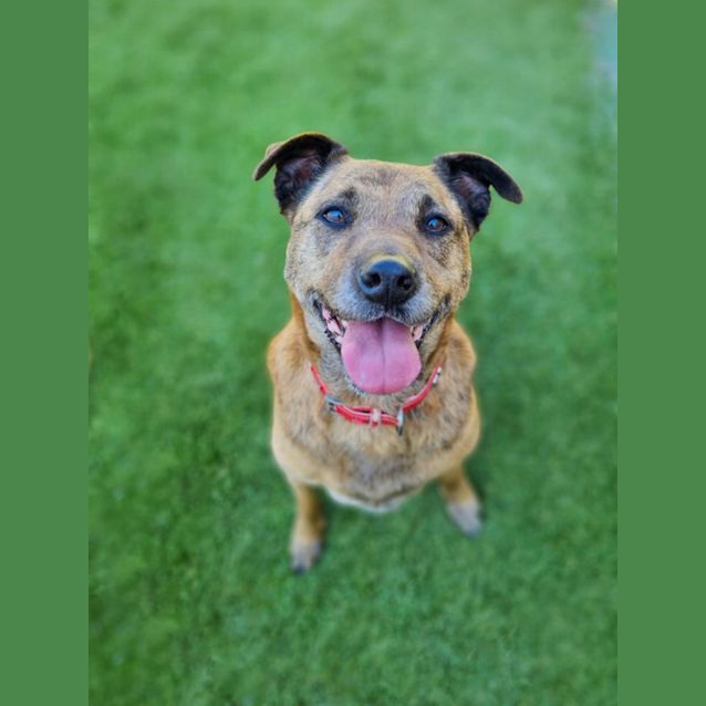 Photo of Ruby