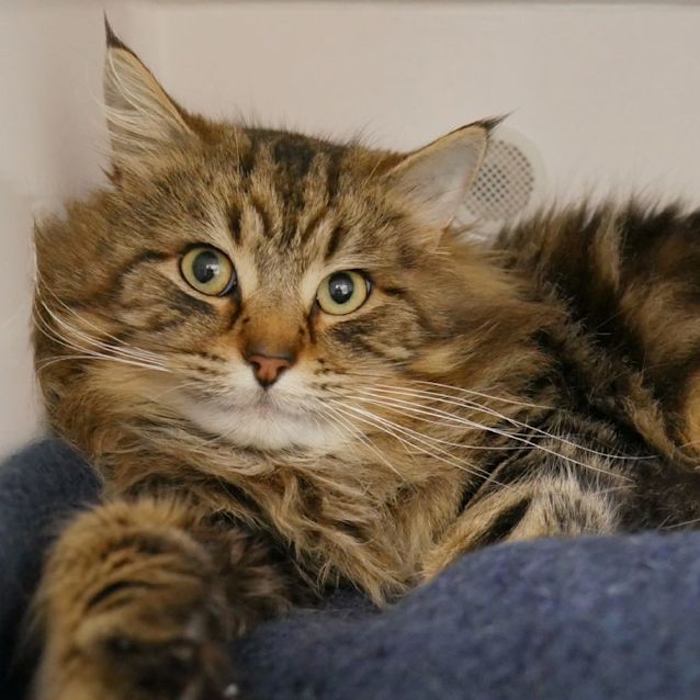 Photo of Leo Sta008880