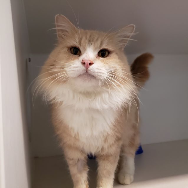 Photo of Gus